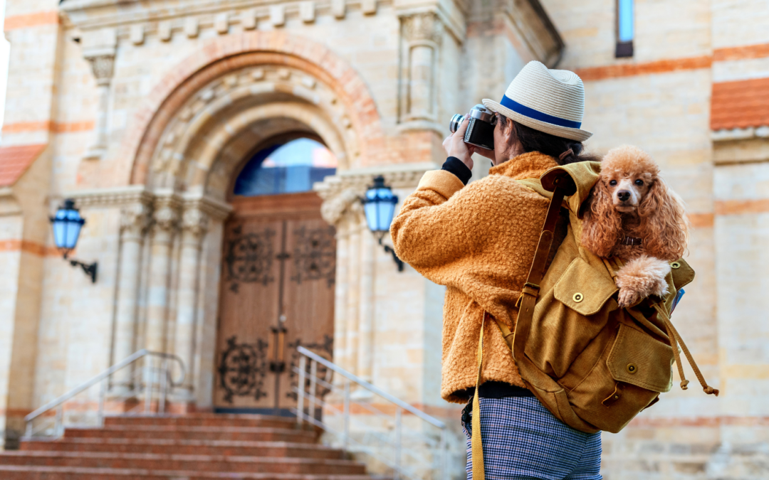 Traveler with a dog outside a historical building, symbolizing pet-friendly travel adventures.
